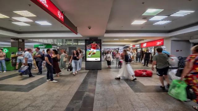 Путин взялся за русский язык. Реклама под прицелом